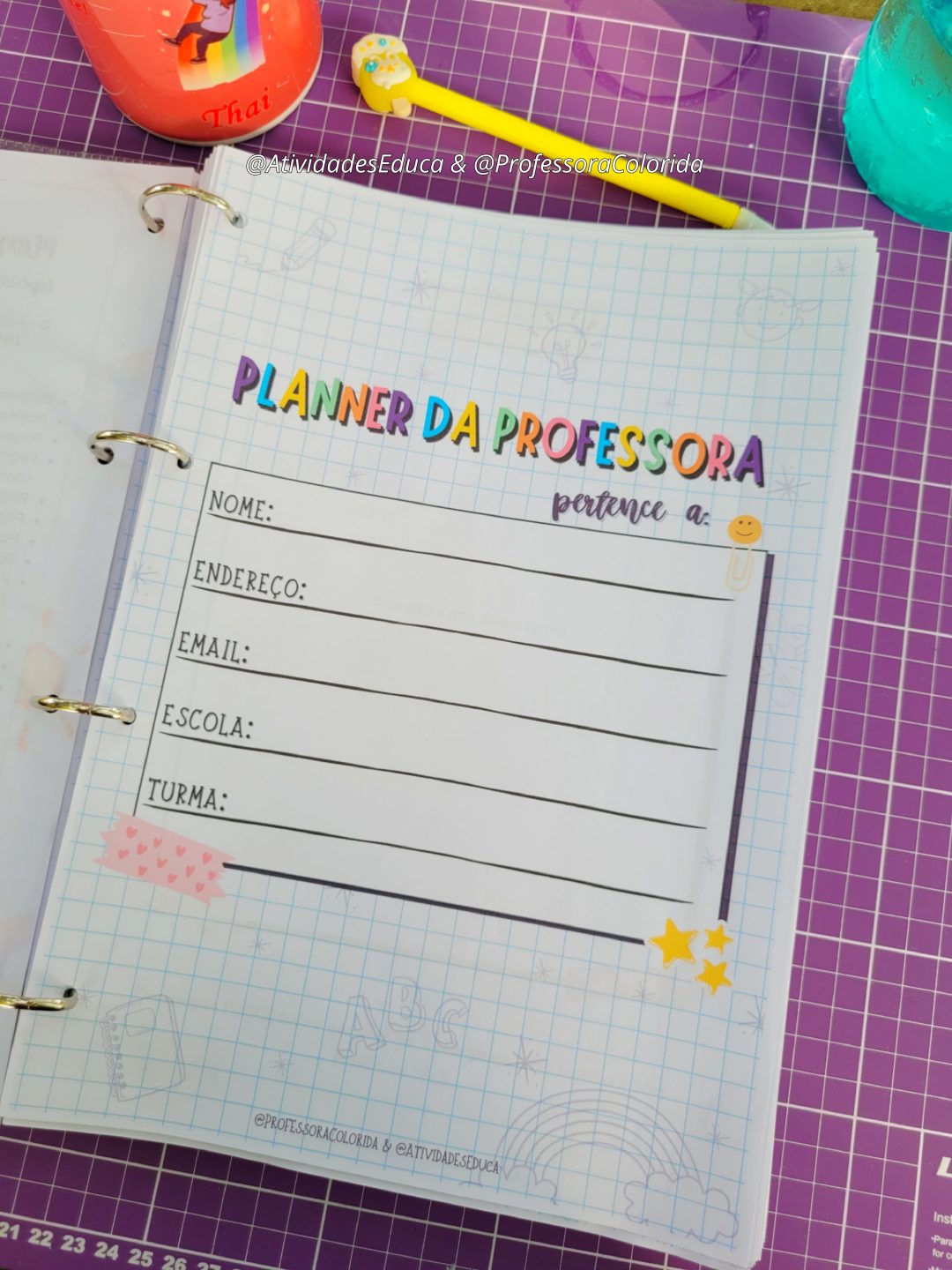 Planner com BNCC da Professora 2026 Educação Infantil - COLORIDINHO - Imagem 6