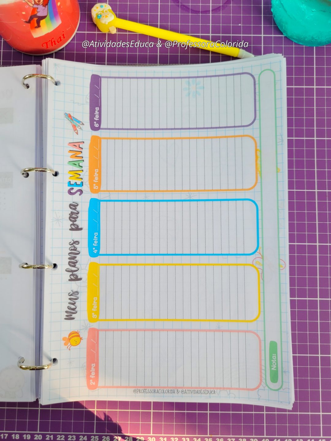 Planner com BNCC da Professora 2026 Educação Infantil - COLORIDINHO - Imagem 7