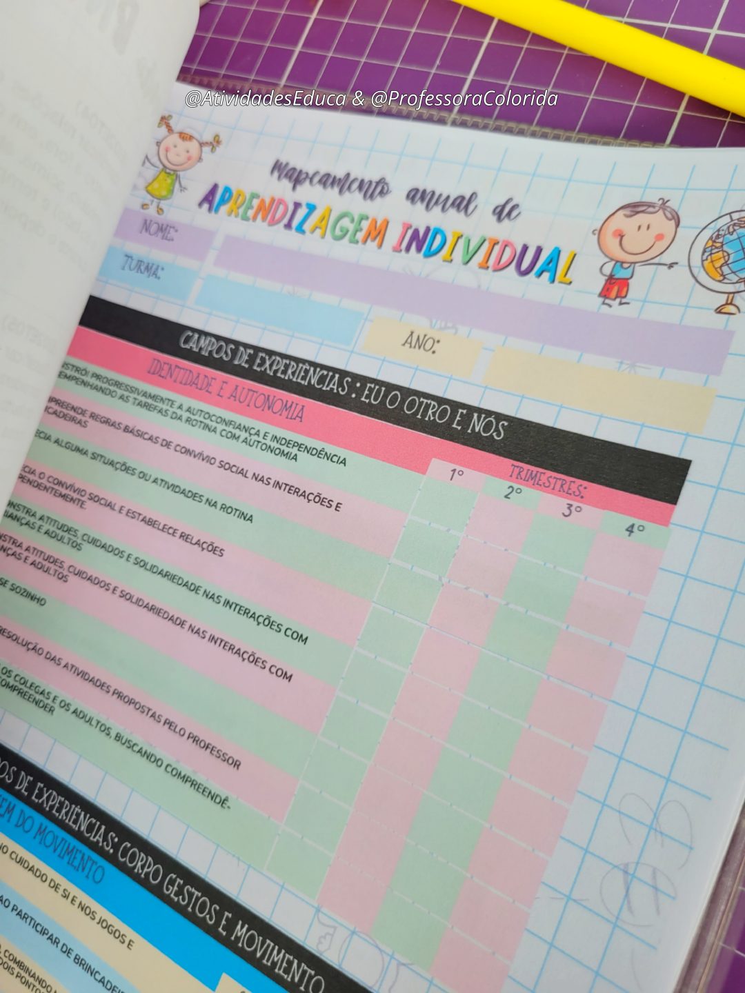 Planner com BNCC da Professora 2026 Educação Infantil - COLORIDINHO - Imagem 8