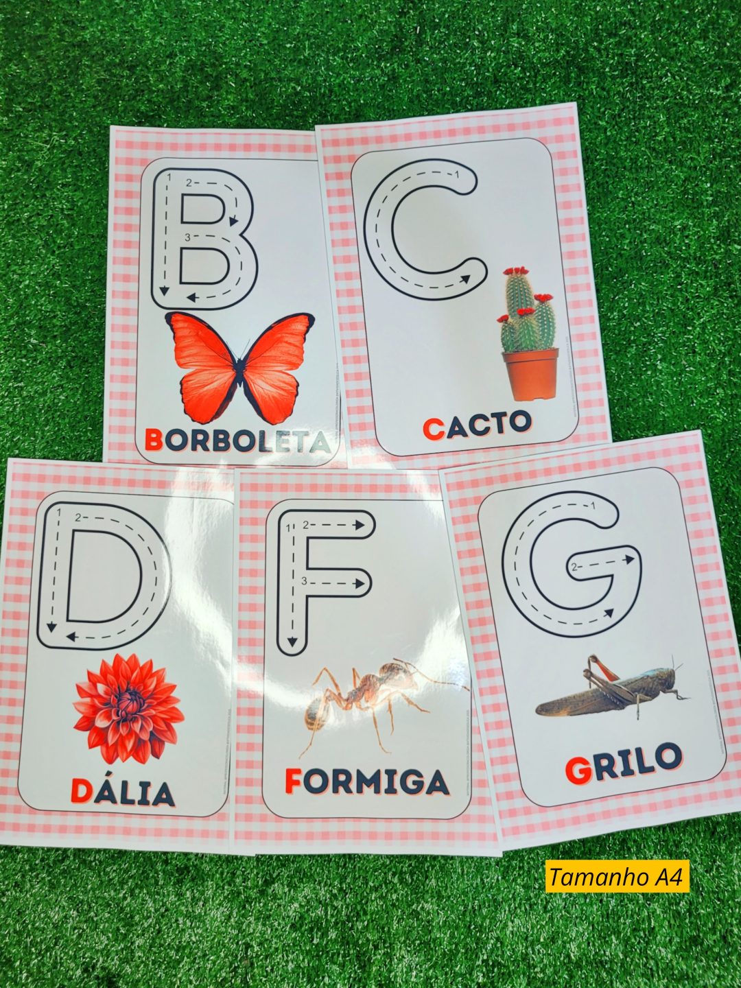 Cartazes de sala de aula para Educação Infantil - KIT JARDIM 2025 - Imagem 16