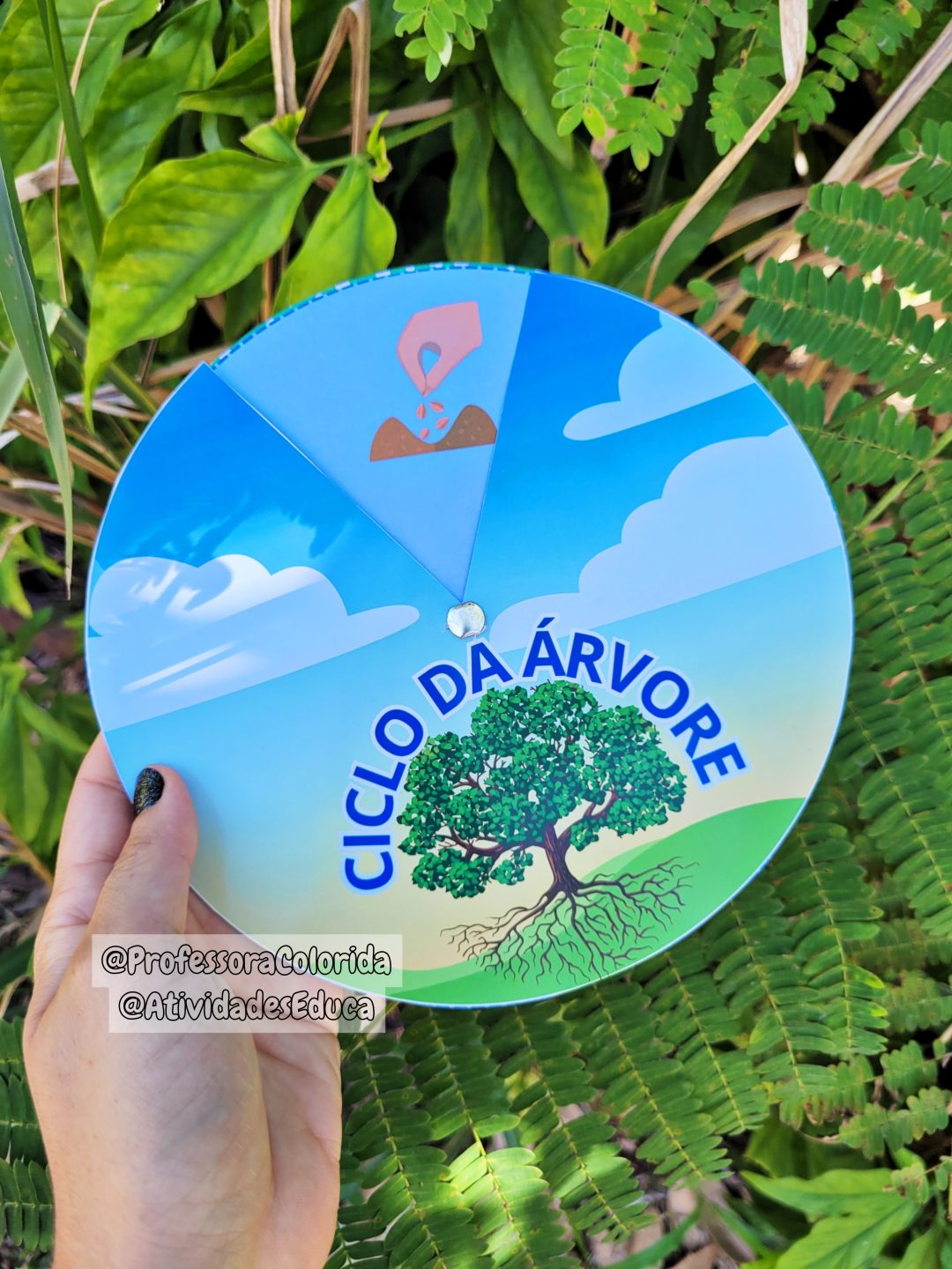Atividades para o Dia da Árvore alinhadas à BNCC: História na luva, atividades, ciclo da árvore, lembrancinha e atividades de registrobônus! - Image 10