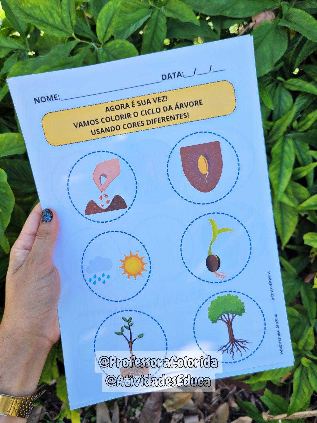 Atividades para o Dia da Árvore alinhadas à BNCC: História na luva, atividades, ciclo da árvore, lembrancinha e atividades de registrobônus! - Image 13