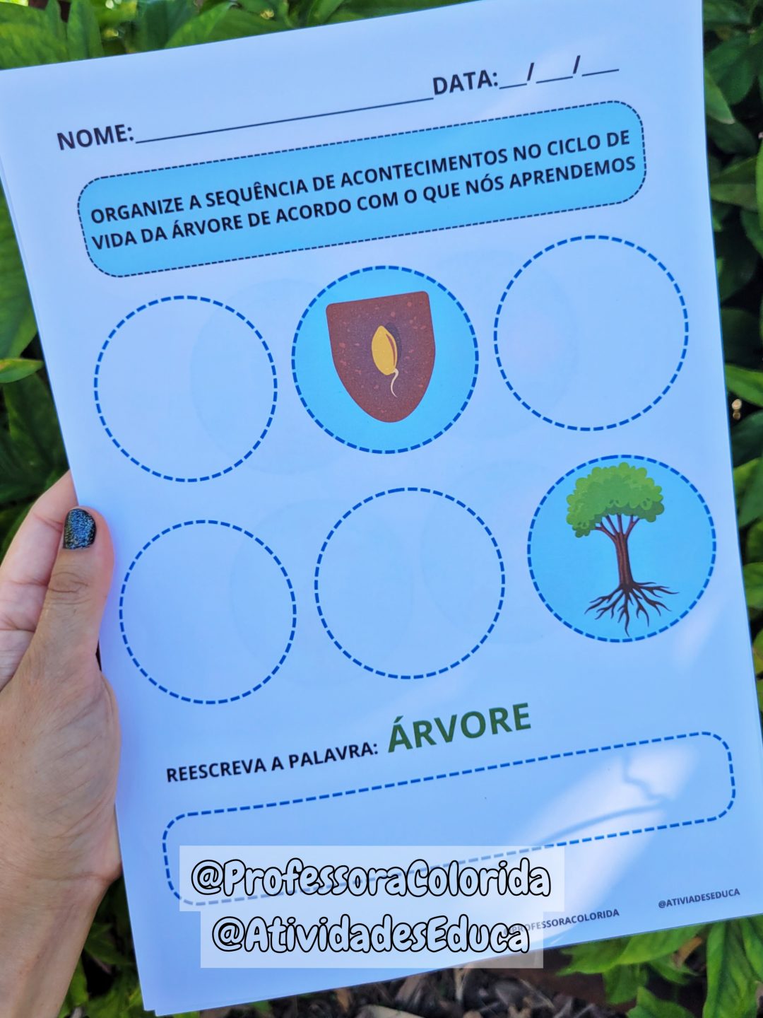 Atividades para o Dia da Árvore alinhadas à BNCC: História na luva, atividades, ciclo da árvore, lembrancinha e atividades de registrobônus! - Image 14