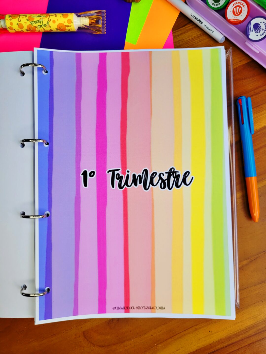 Planner com BNCC da Professora 2026 Educação Infantil - COLORIDINHO - Imagem 19
