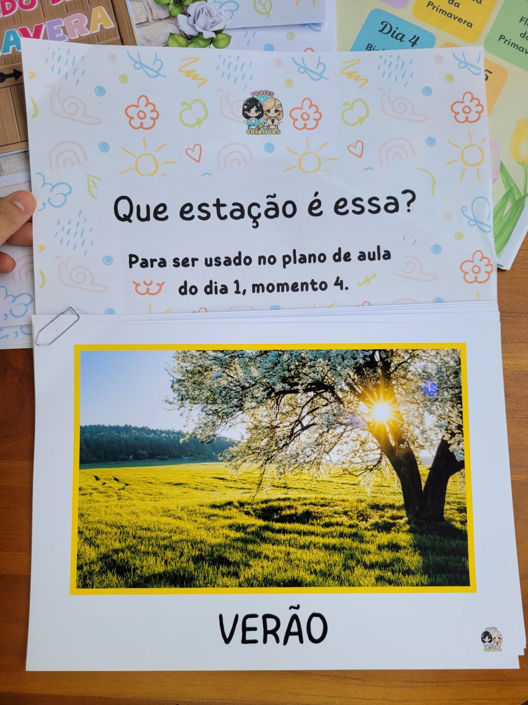 Planejamento de Primavera para Educação Infantil Alinhado à BNCC (para crianças de 3 a 5 anos) - Imagem 10