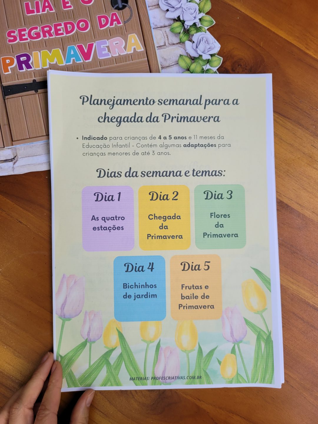 Planejamento de Primavera para Educação Infantil Alinhado à BNCC (para crianças de 3 a 5 anos) - Imagem 4