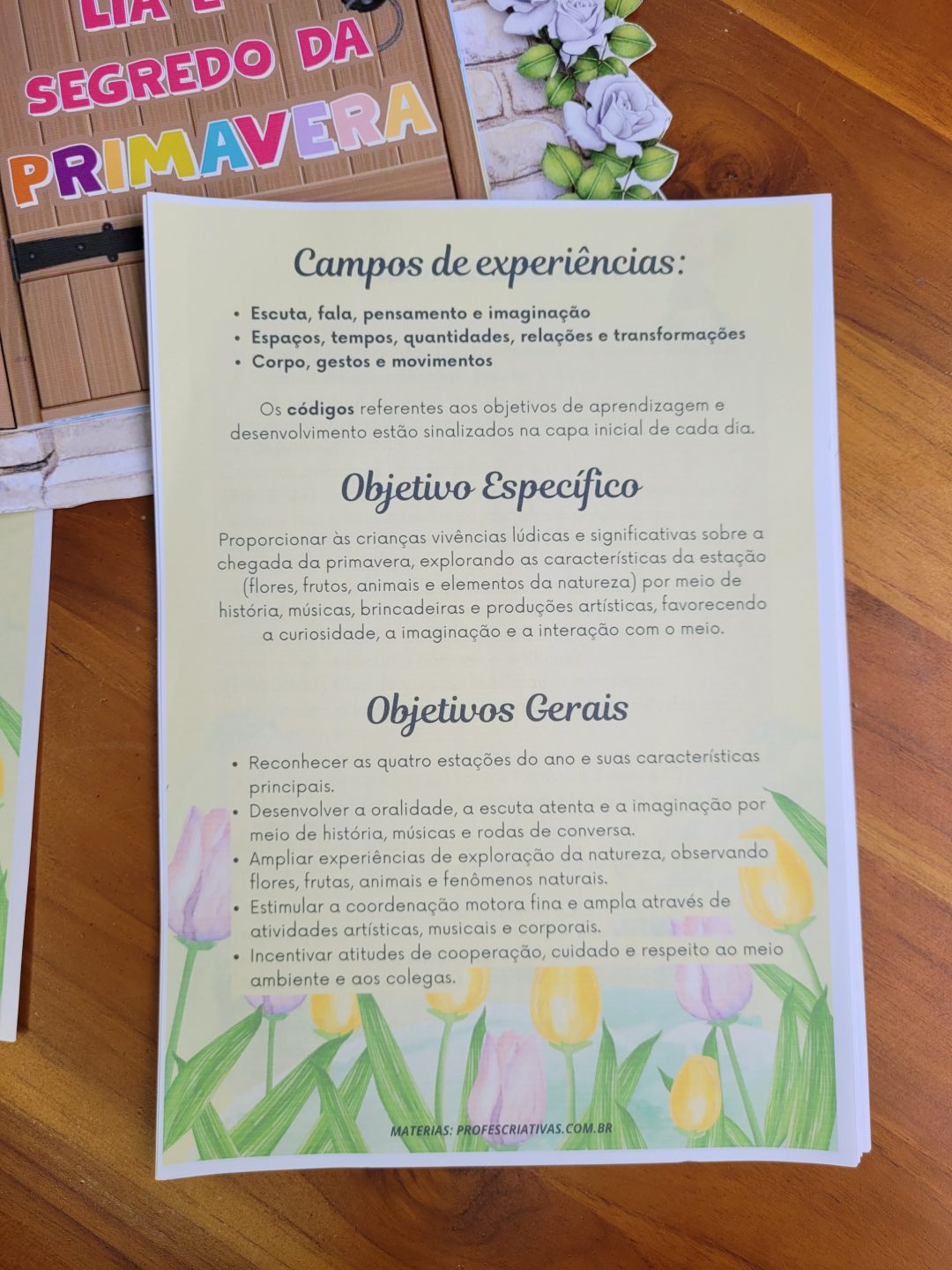 Planejamento de Primavera para Educação Infantil Alinhado à BNCC (para crianças de 3 a 5 anos) - Imagem 3