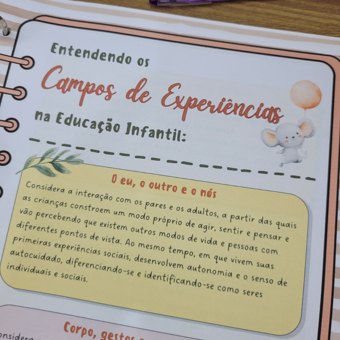Planner Educação Infantil da Professora Bichinhos Fofos - Imagem 3